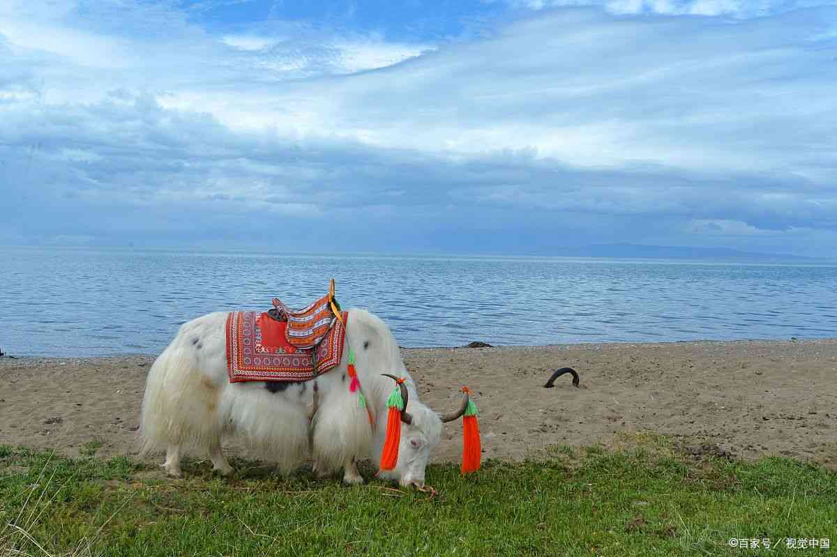 青海茶卡盐湖旅游攻略
