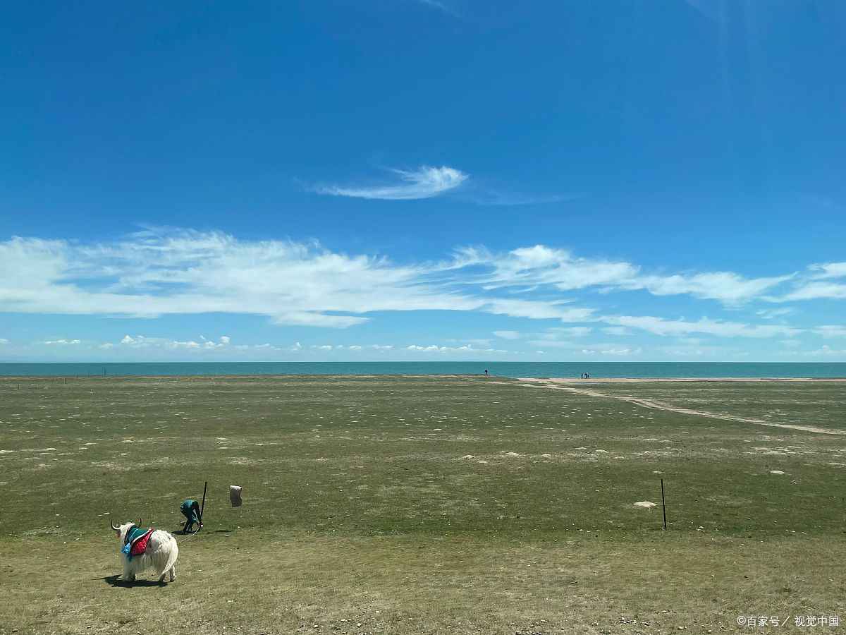 青海湖4天旅游攻略